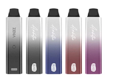 Dwi Mesh Coil 2% Nikotin Disposable Pod Vape Kit 600 Puffs